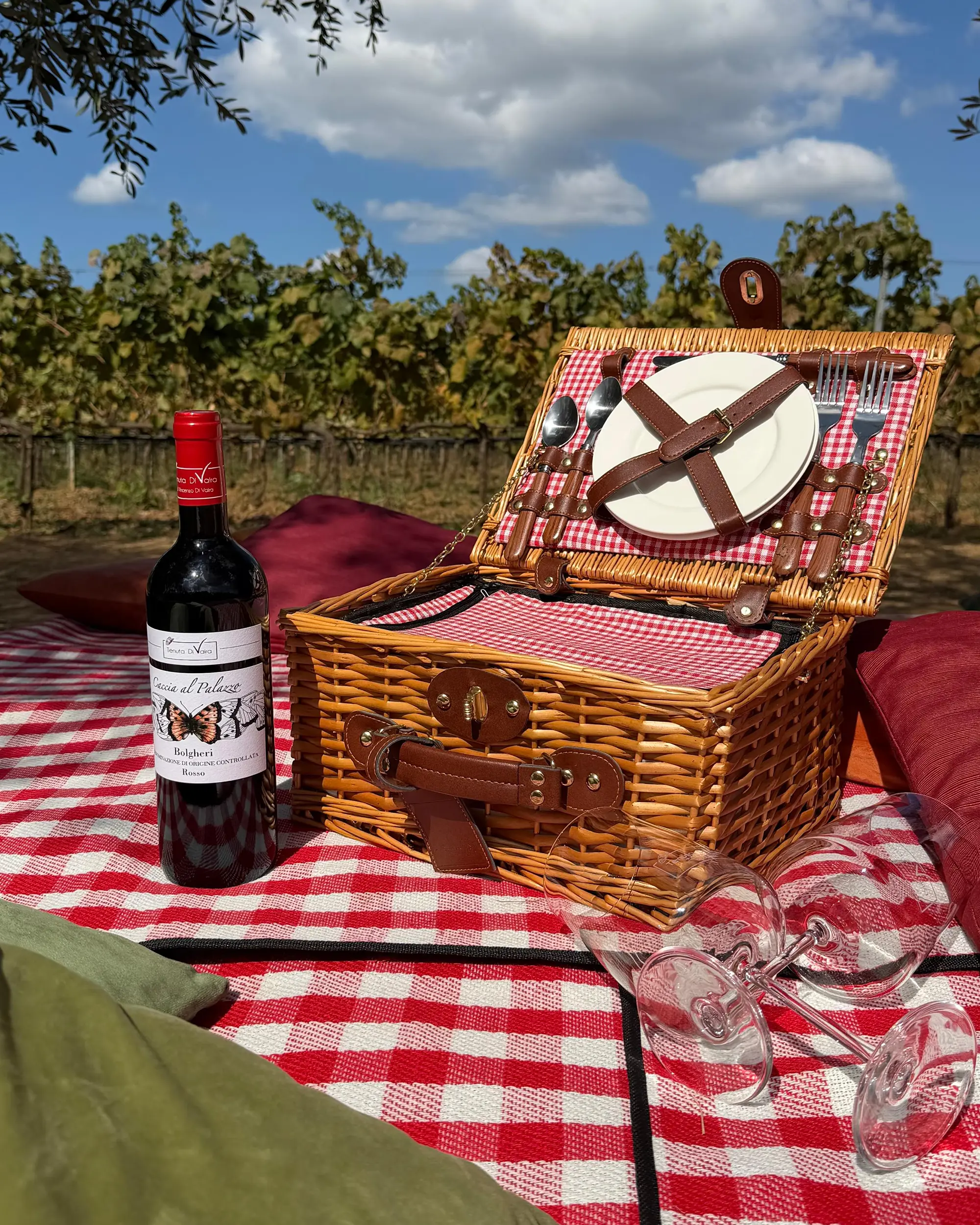 Picknick zwischen den Weinbergen